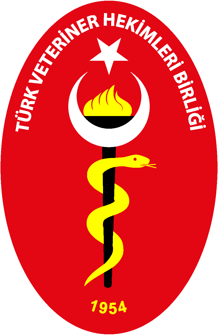 tvhb_logo