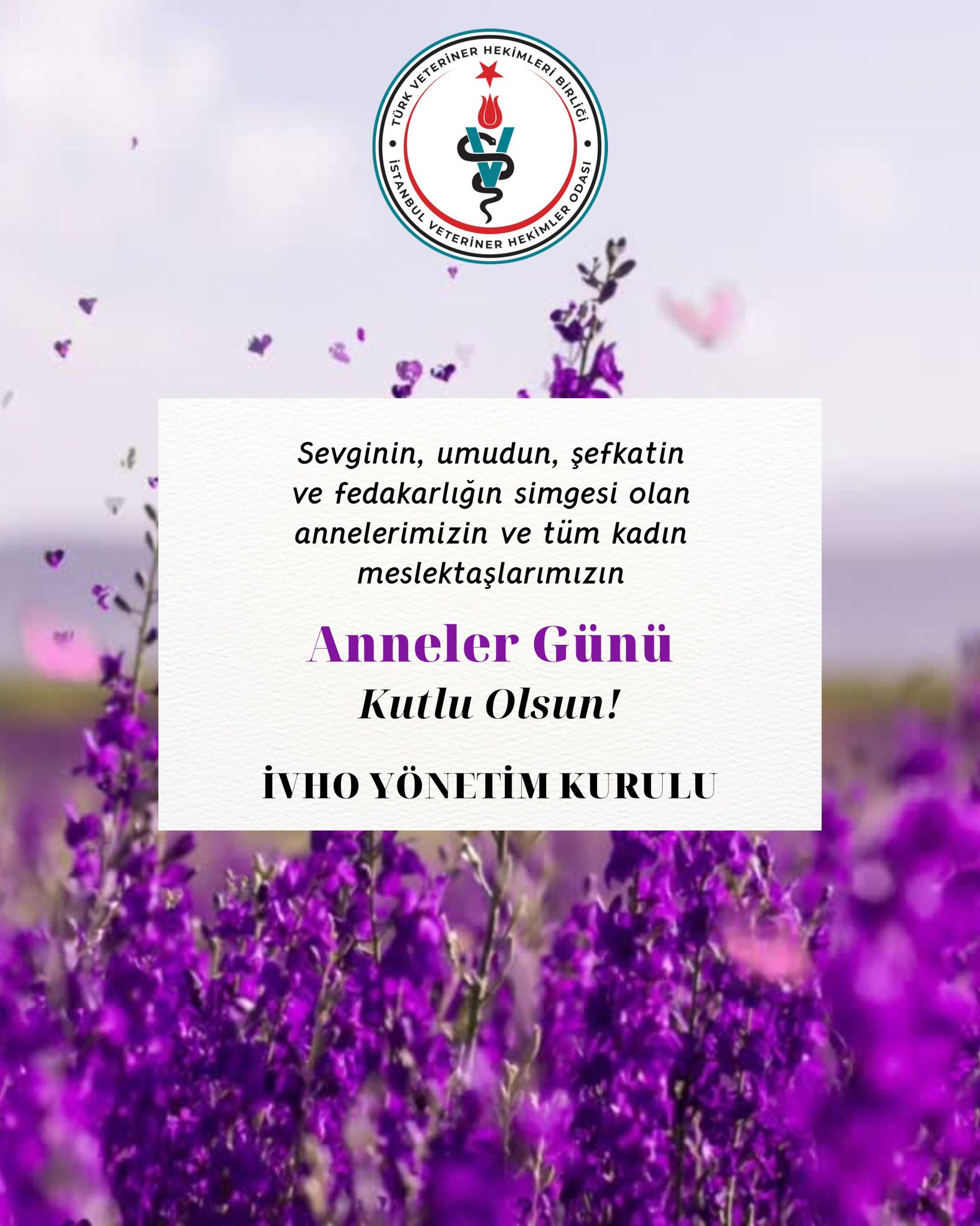 duyurular